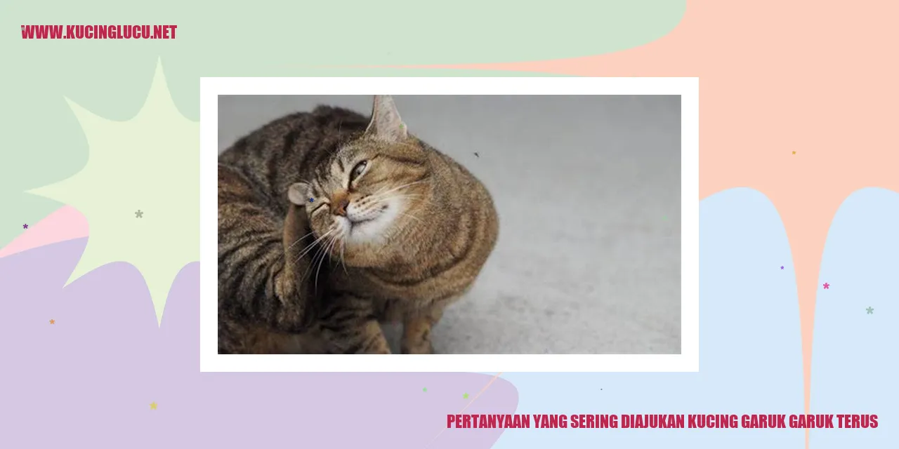 Gambar seekor kucing sedang melakukan gerakan garuk-garuk