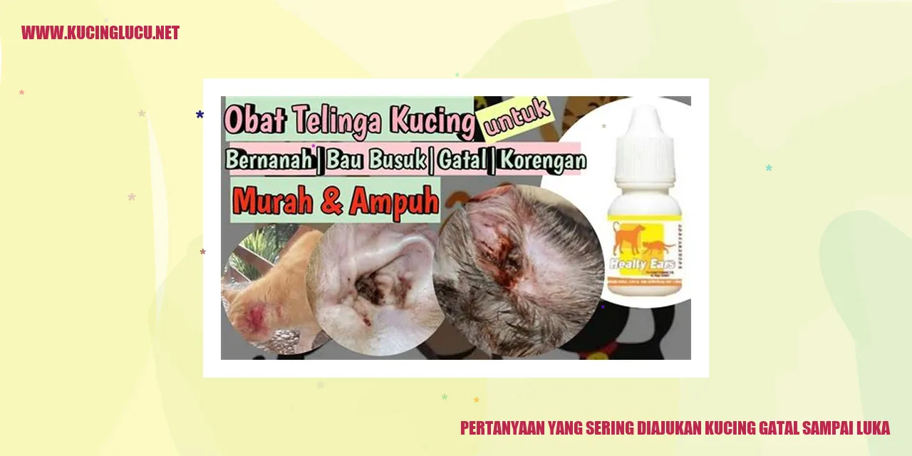 Pertanyaan yang Sering Diajukan kucing gatal sampai luka