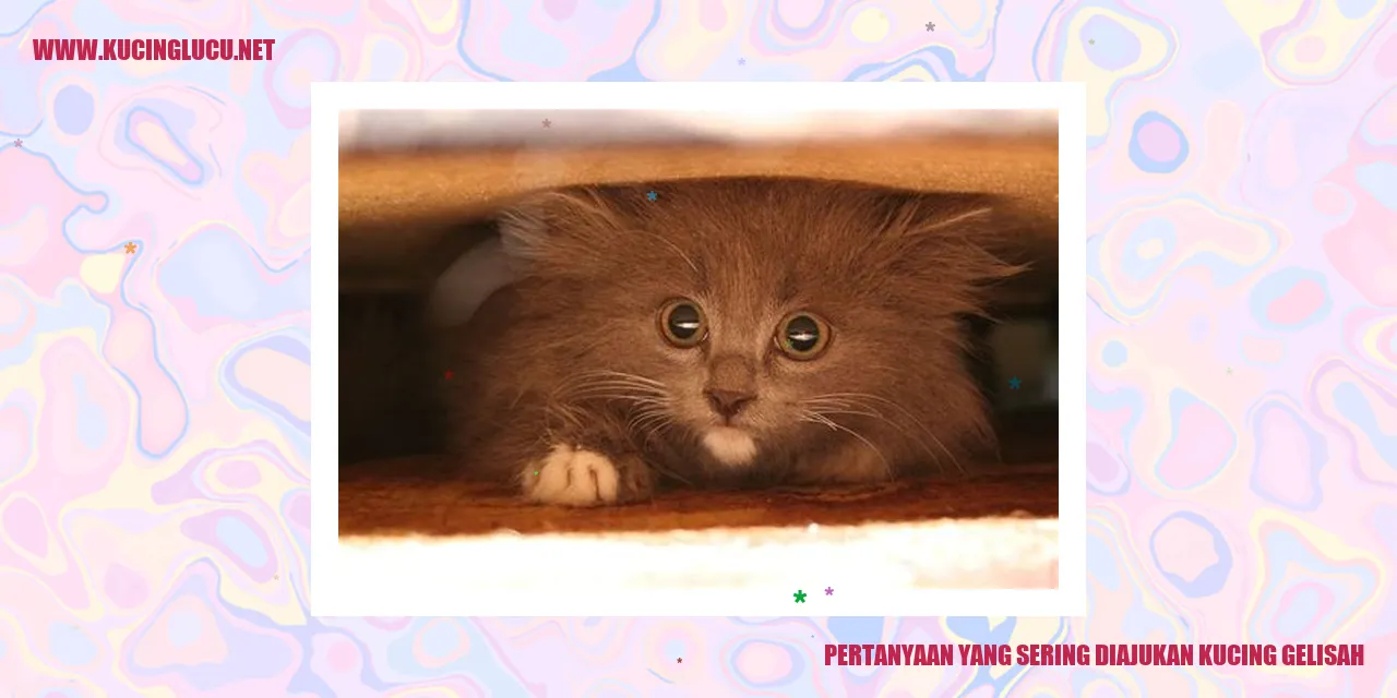 Kucing Gelisah