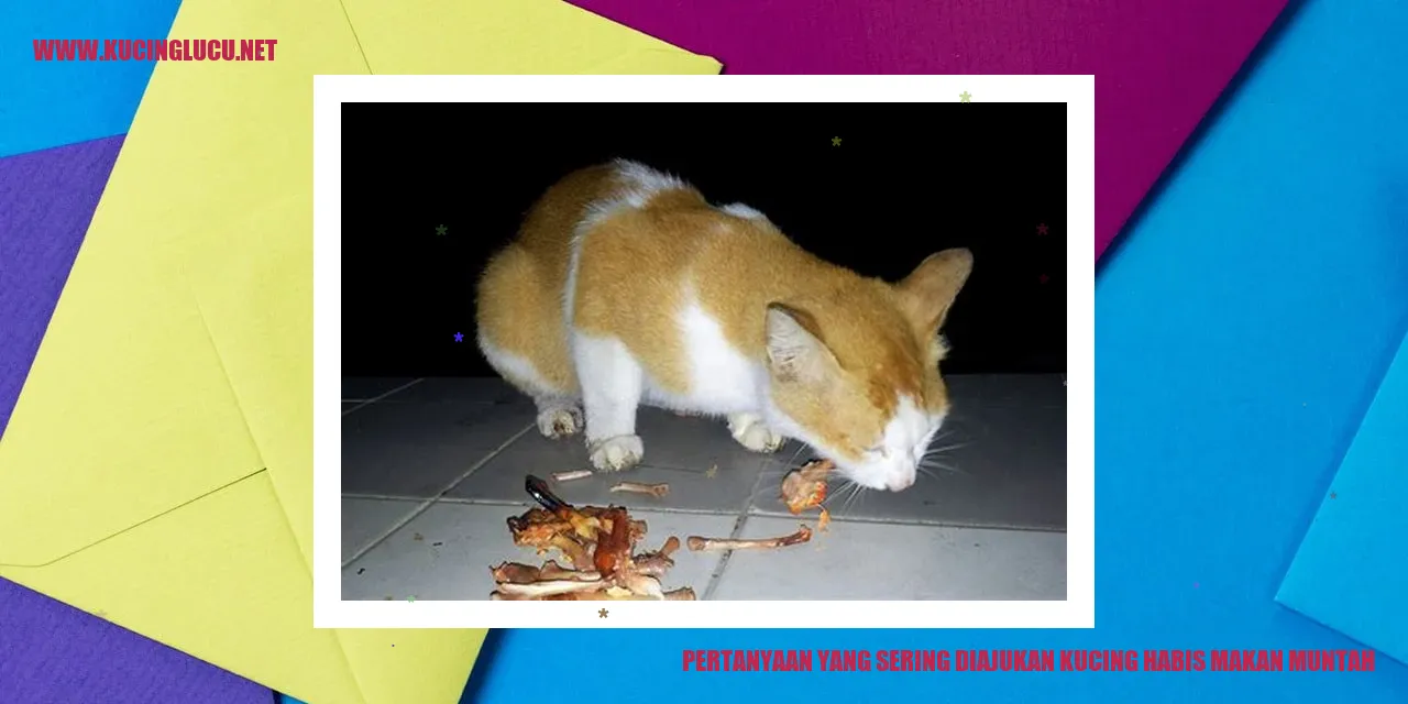 Kucing Muntah Setelah Makan