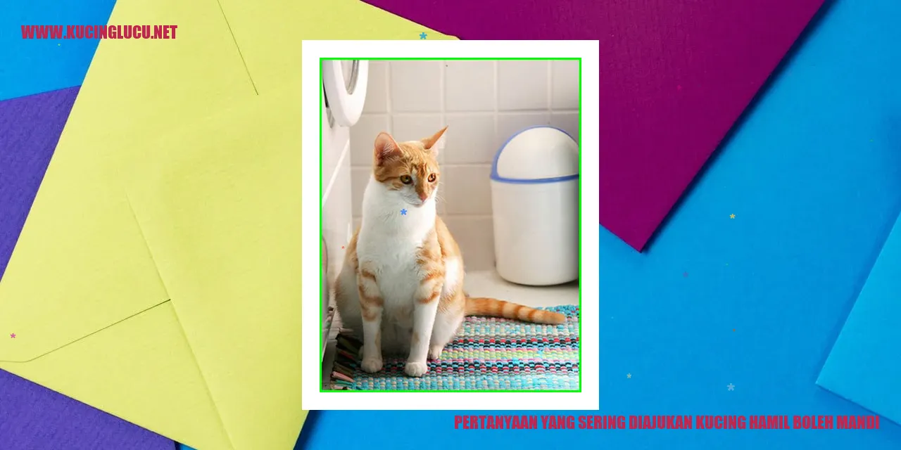 Ilustrasi Kucing Hamil Mandi