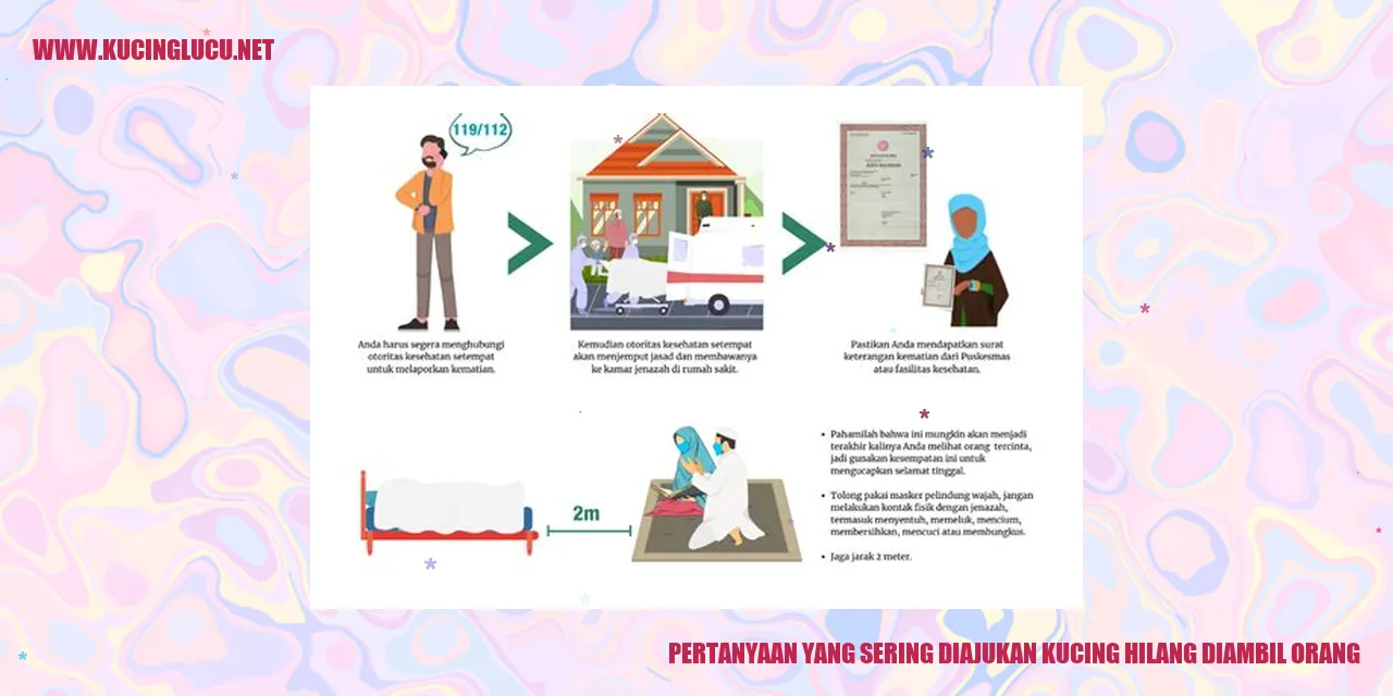Ilustrasi kucing hilang