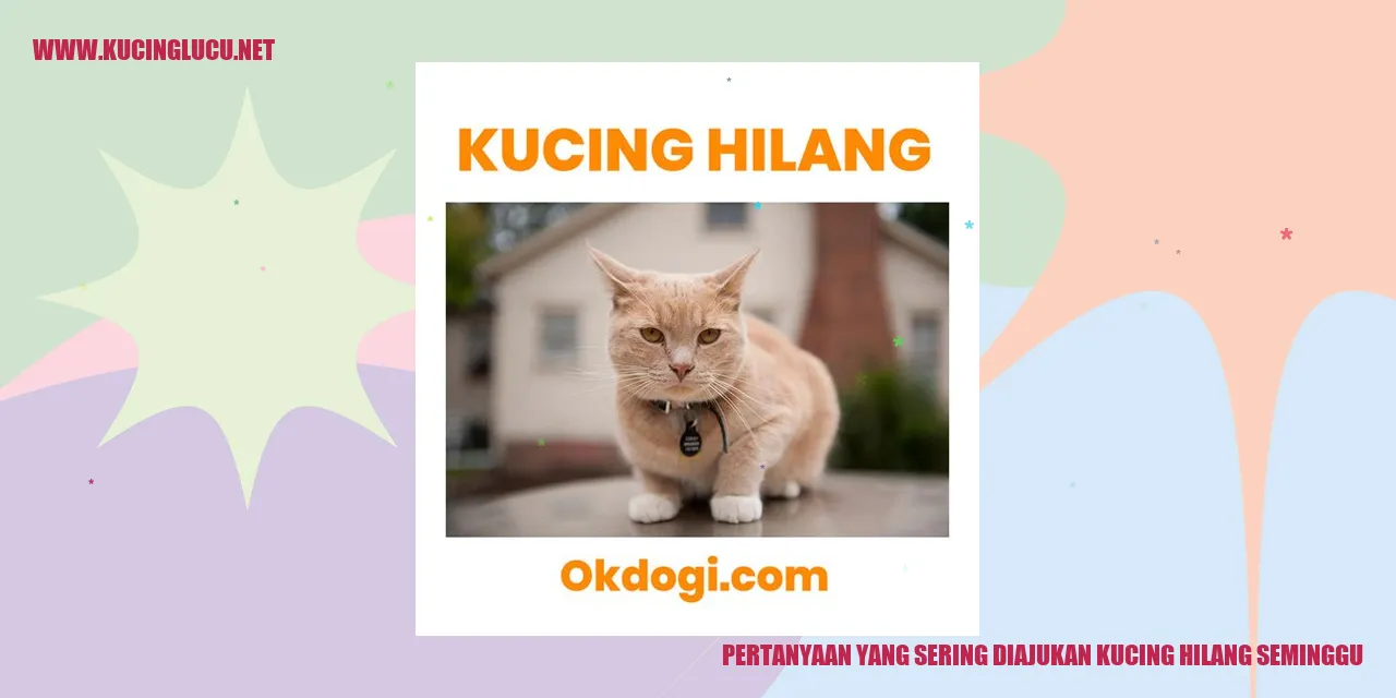 Kucing yang Hilang