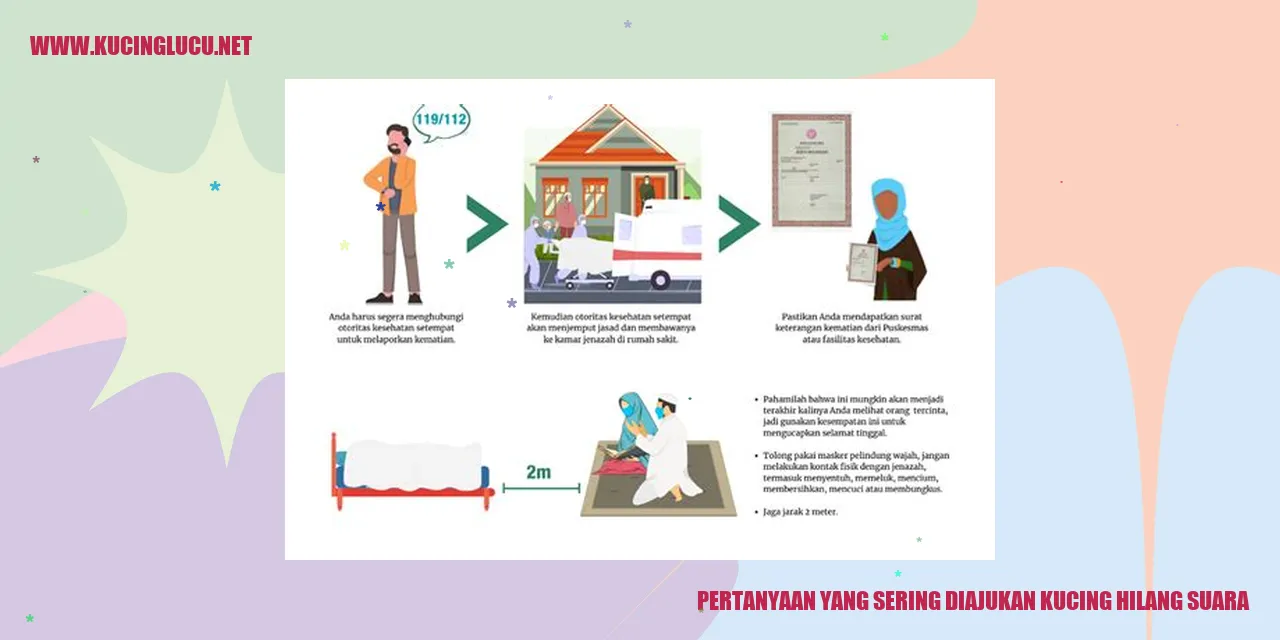 Gambar Kucing Hilang Suara