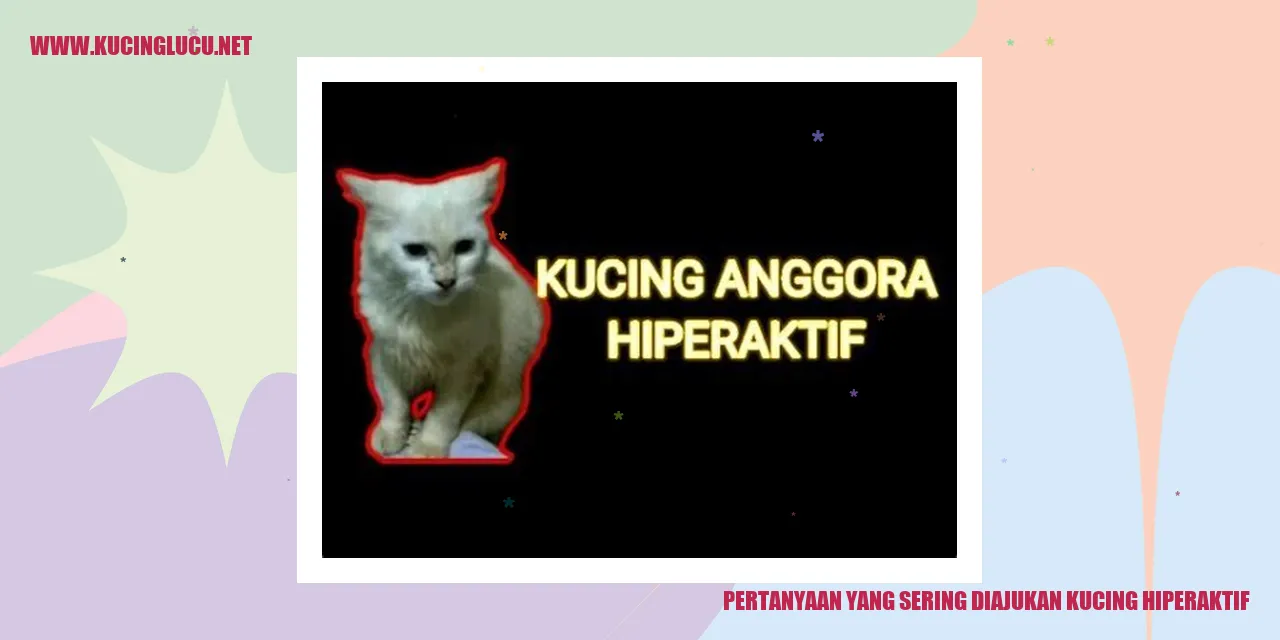 Pertanyaan yang Sering Diajukan kucing hiperaktif
