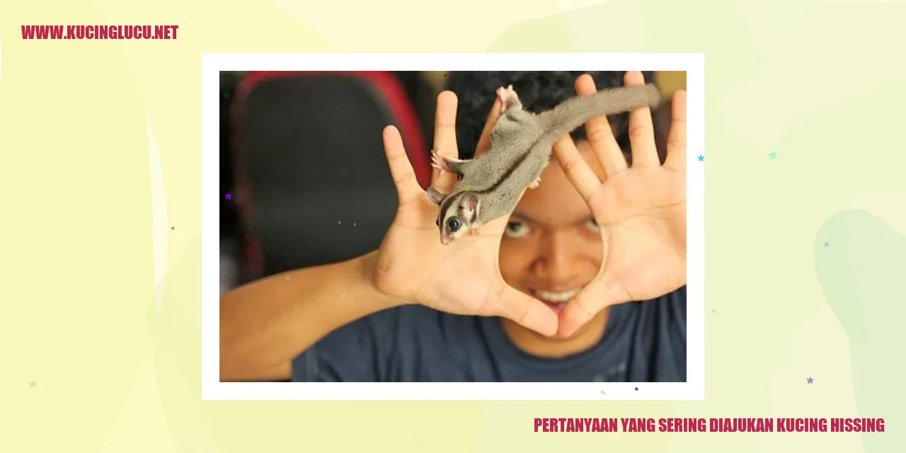 gambar kucing yang sedang mengeces