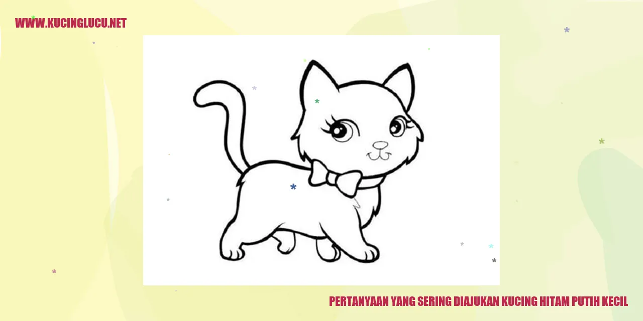 Kucing hitam putih kecil