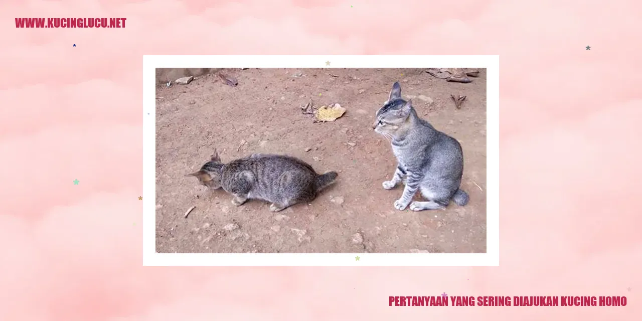 Kucing Berorientasi Seksual Sama