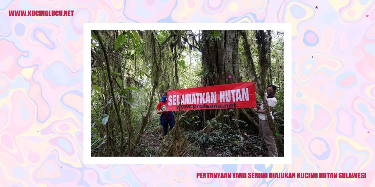 Kucing Hutan Sulawesi