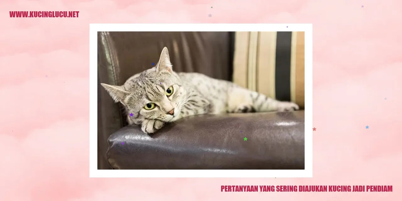 pertanyaan kucing