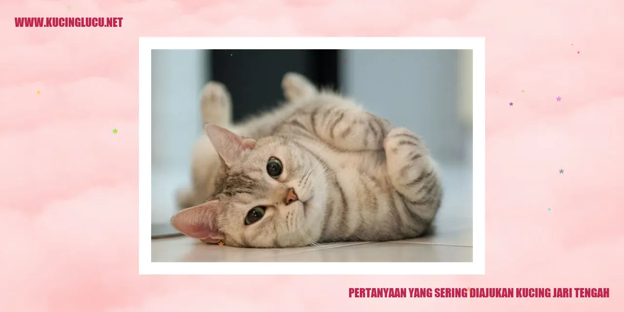 Kucing Jari Tengah