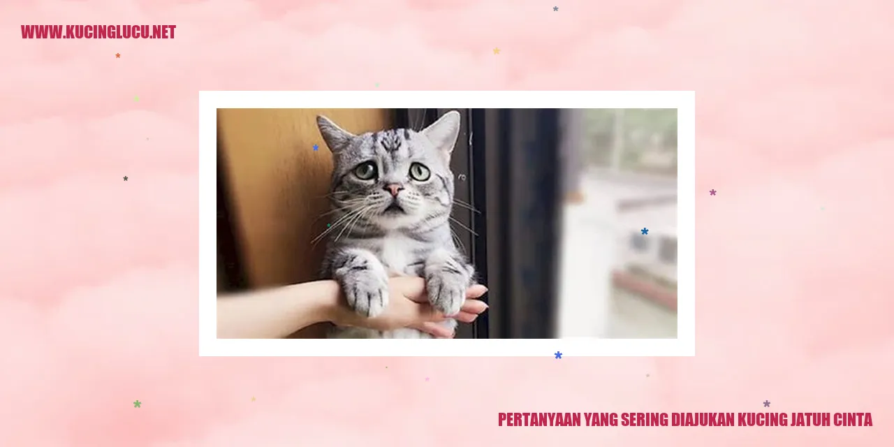 Ilustrasi Kucing yang Jatuh Cinta