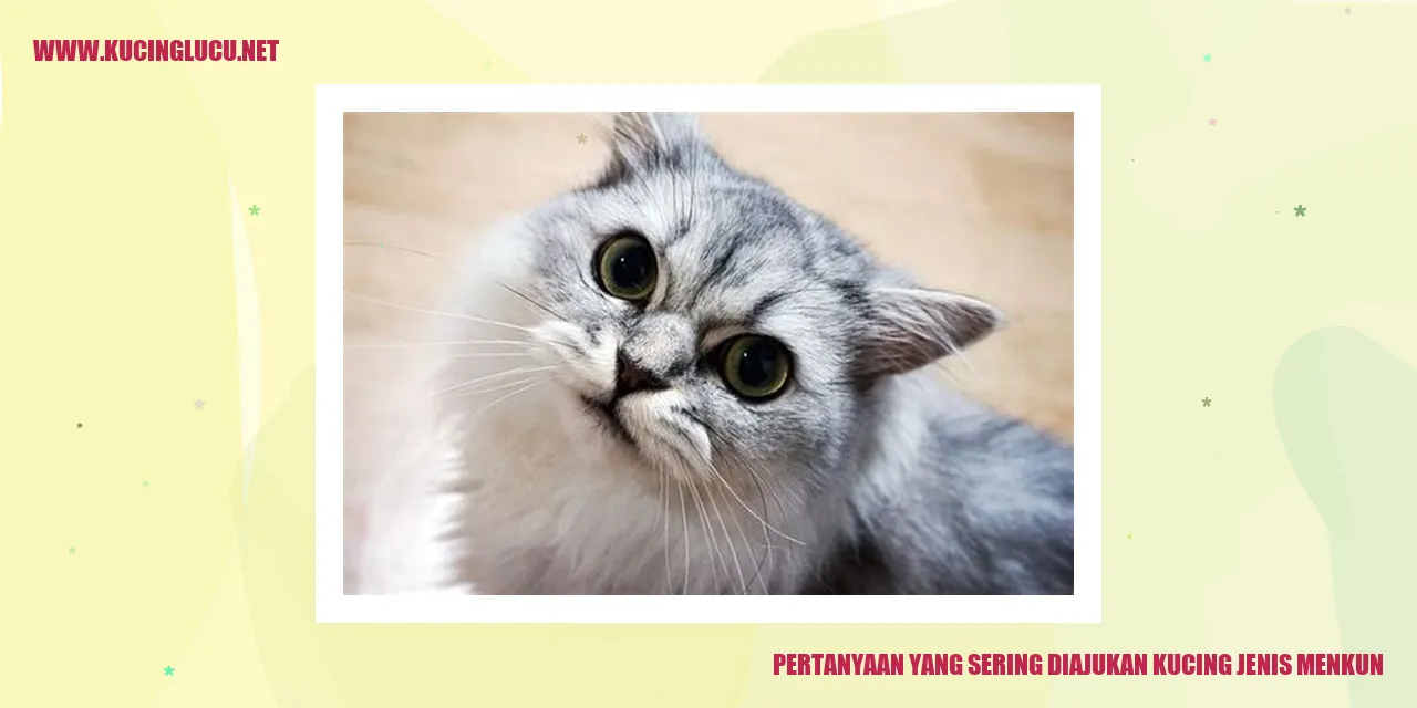 Kucing Menkun