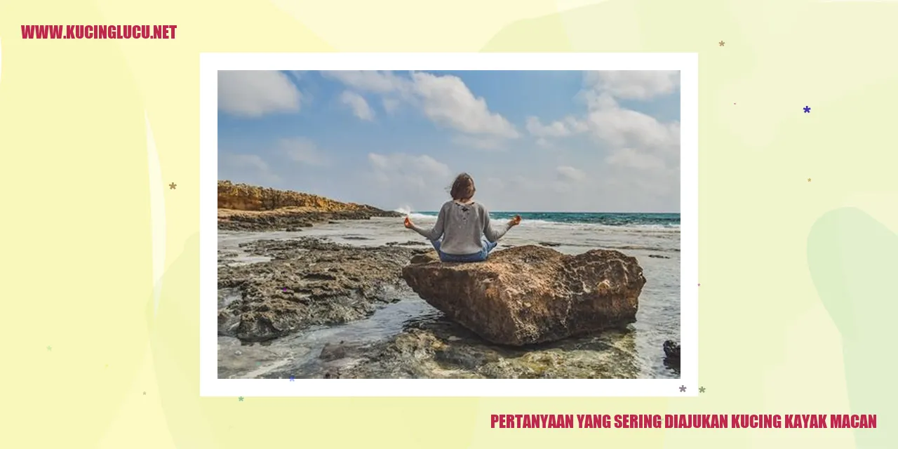 Kucing Menyerupai Macan