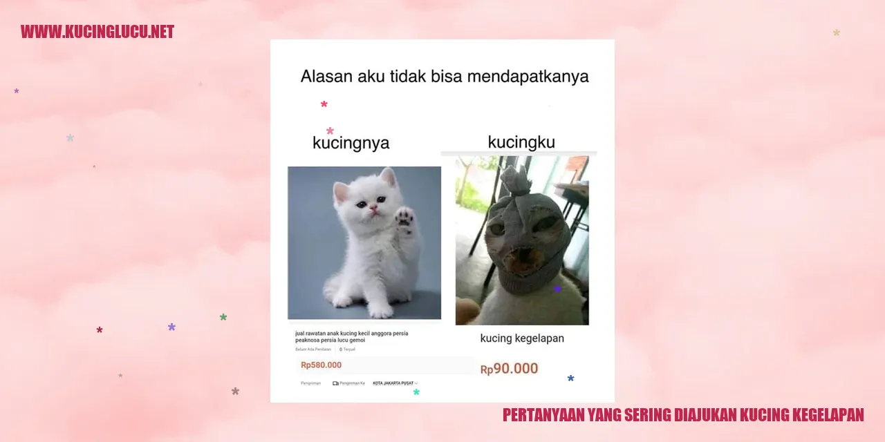 Gambar Kucing Kegelapan