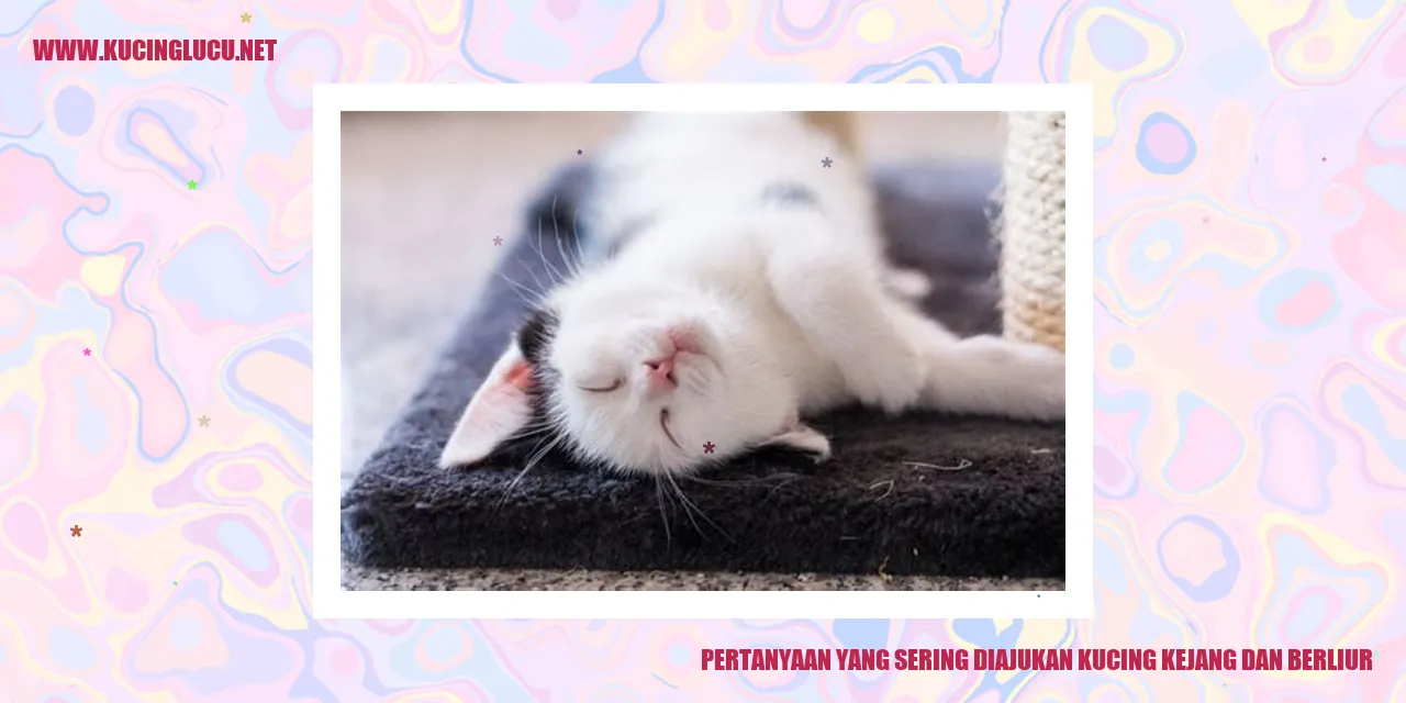 Kucing Mengalami Kejang dan Berliur