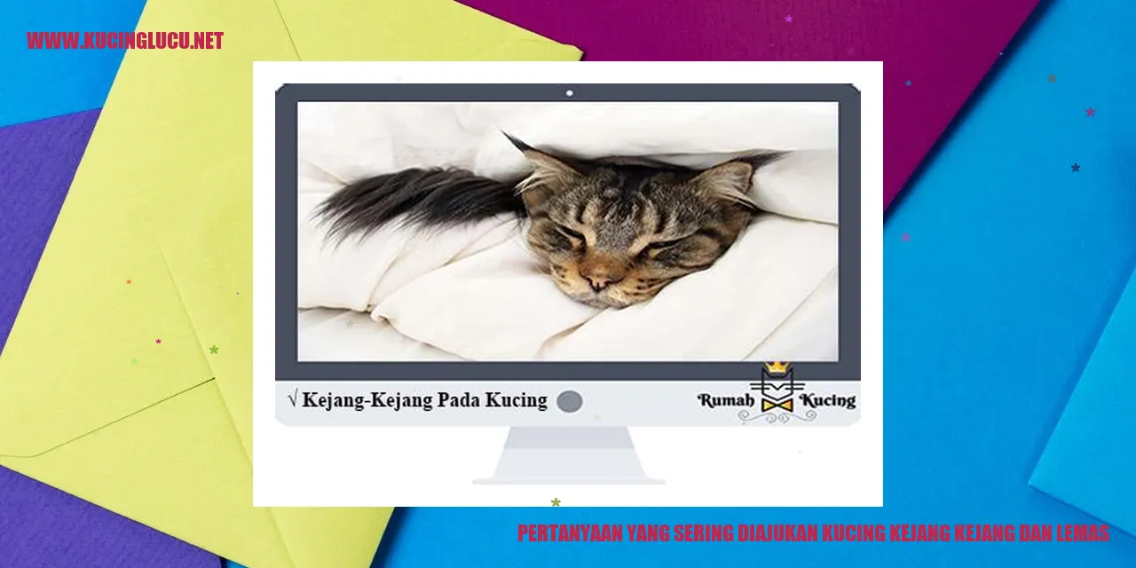 Kucing Mengalami Kejang-kejang dan Lemah