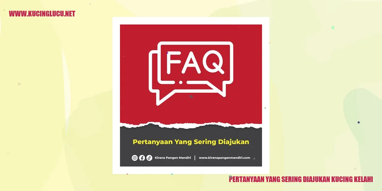 Kucing yang Berkelahi