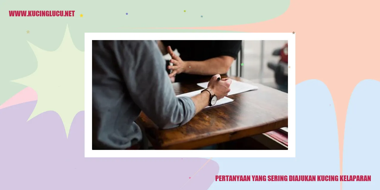 Gambar Kucing yang Kehilangan Makanan