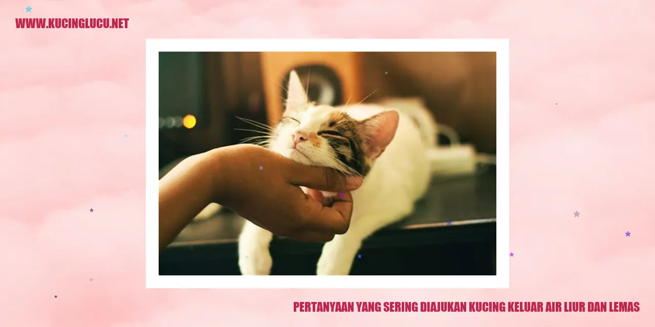 Kucing Lemas