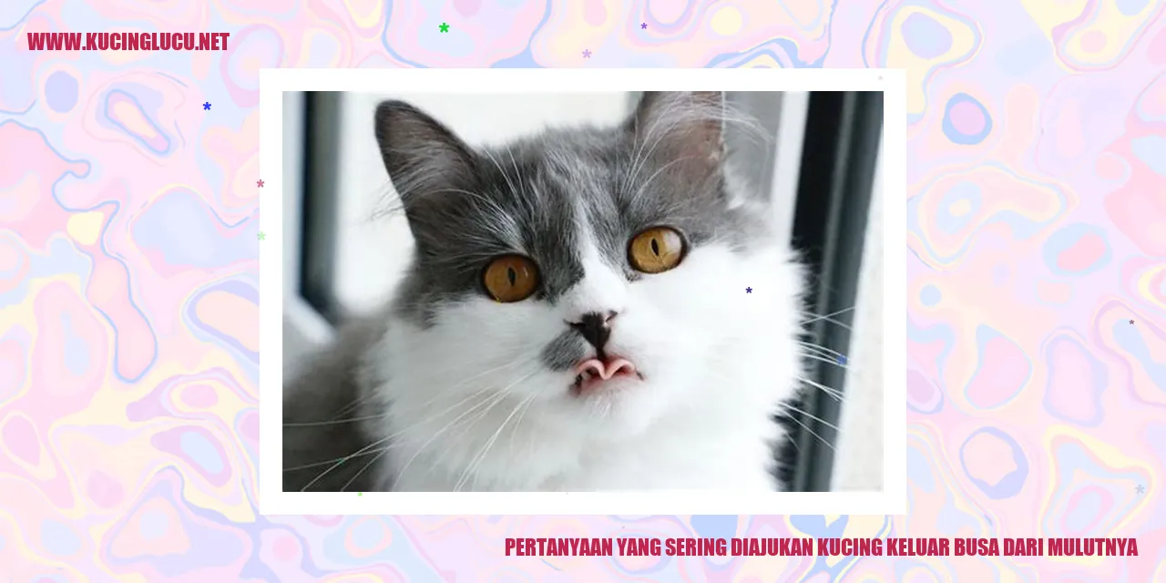 kucing keluar busa
