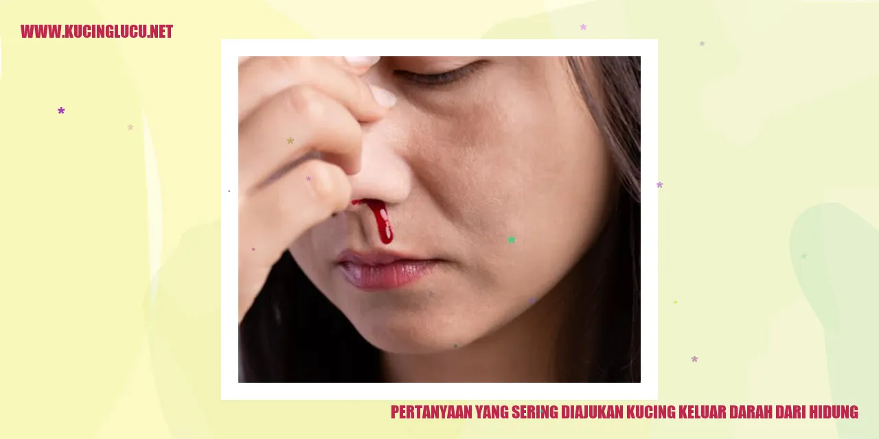 Kucing Mengalami Epistaksis