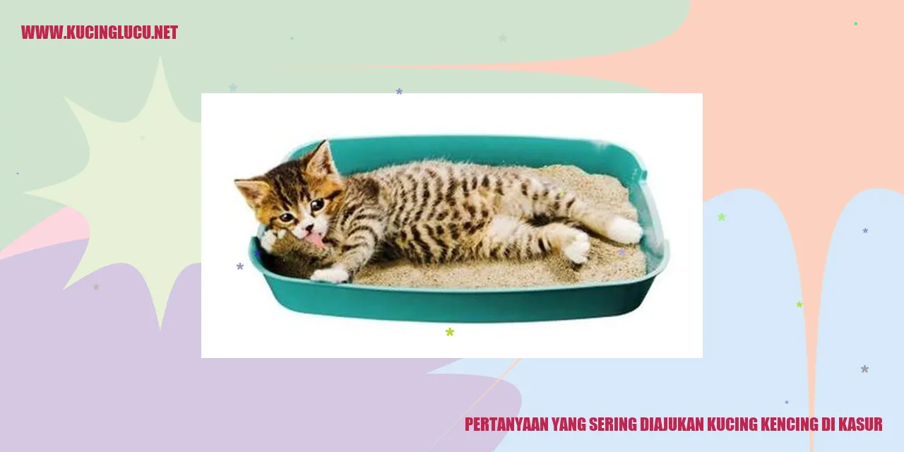 Kucing Kencing di Kasur