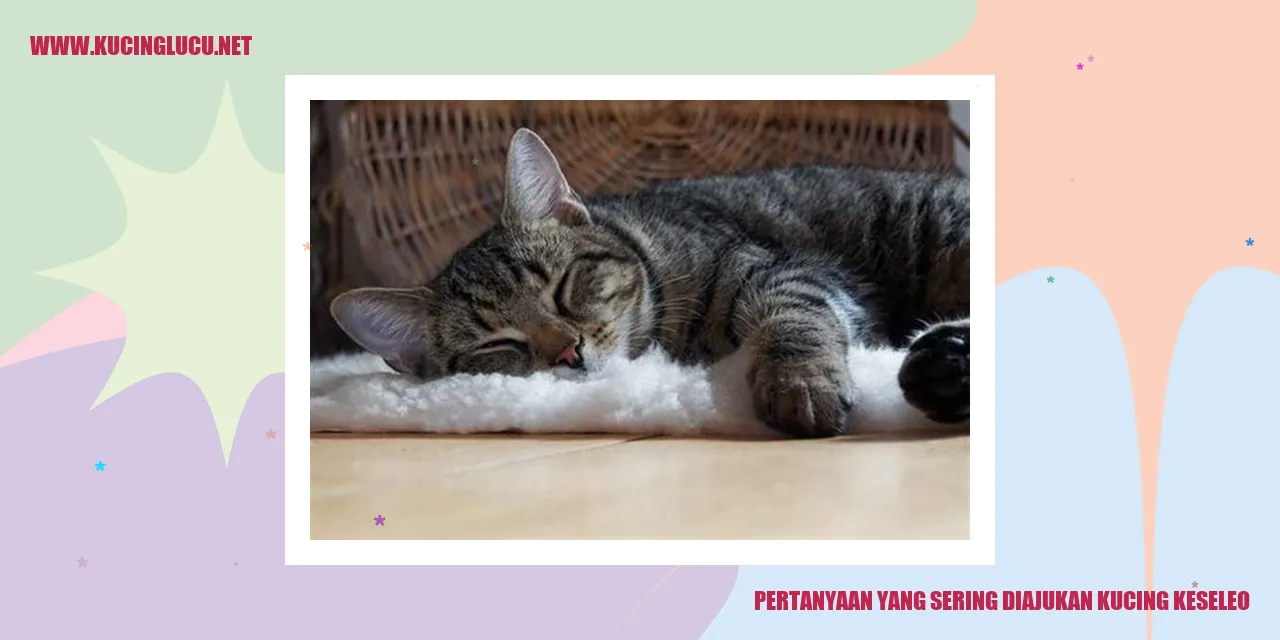 gambar kucing yang mengalami kekelaman