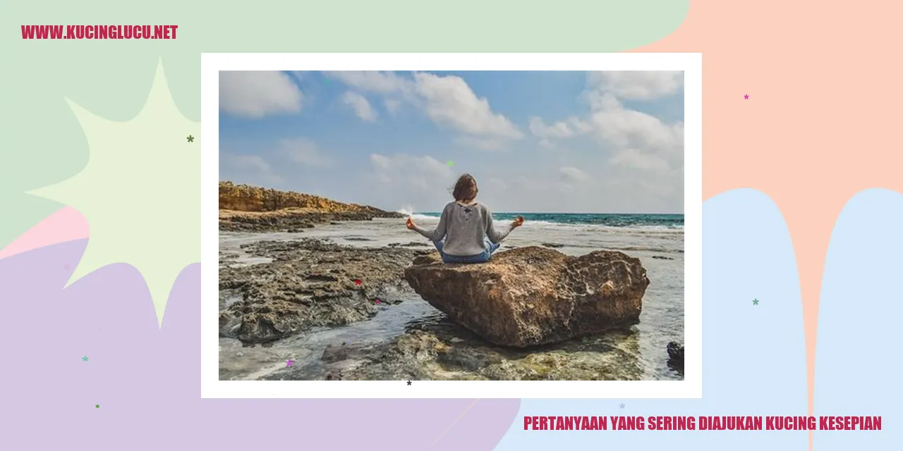 Kucing Kesepian