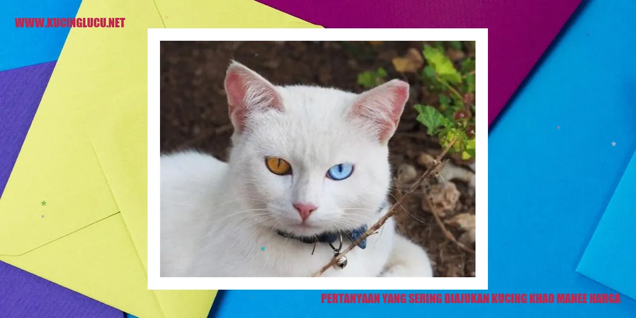 Kucing Khao Manee