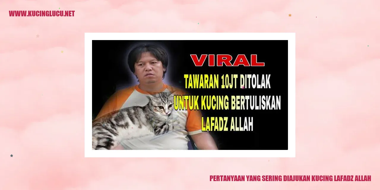 Kucing Lafadz Allah