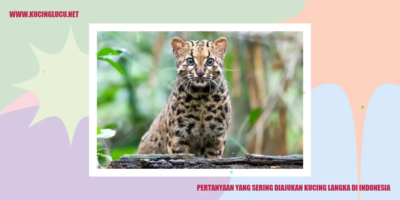 Kucing Langka di Indonesia