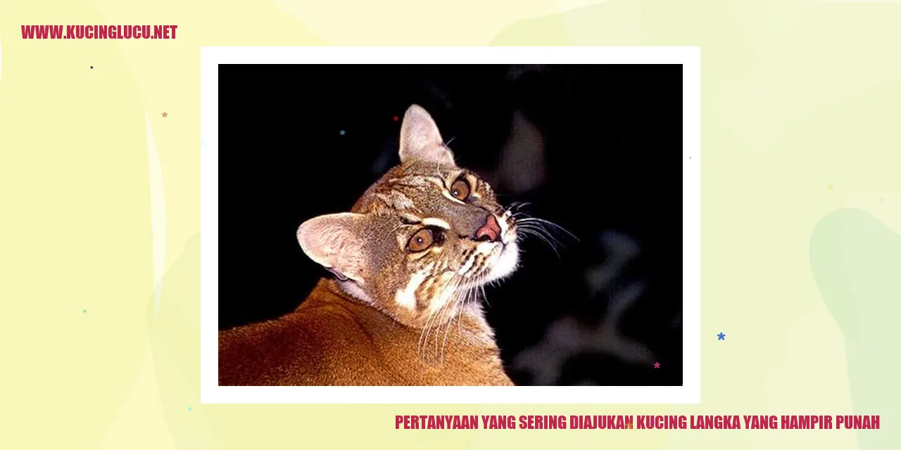 Gambar kucing langka yang hampir punah