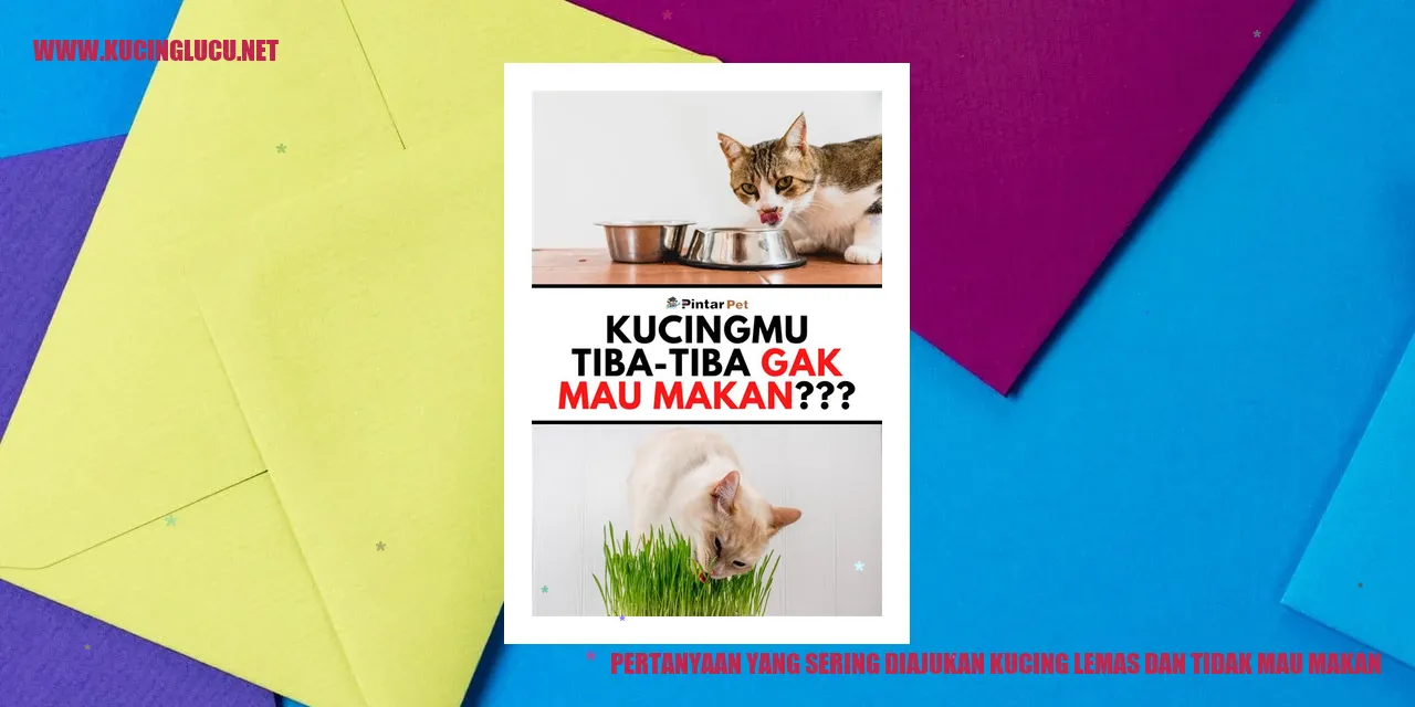 kucing lemas dan tidak mau makan