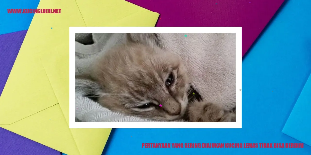 Kucing Lemas Tidak Dapat Berdiri