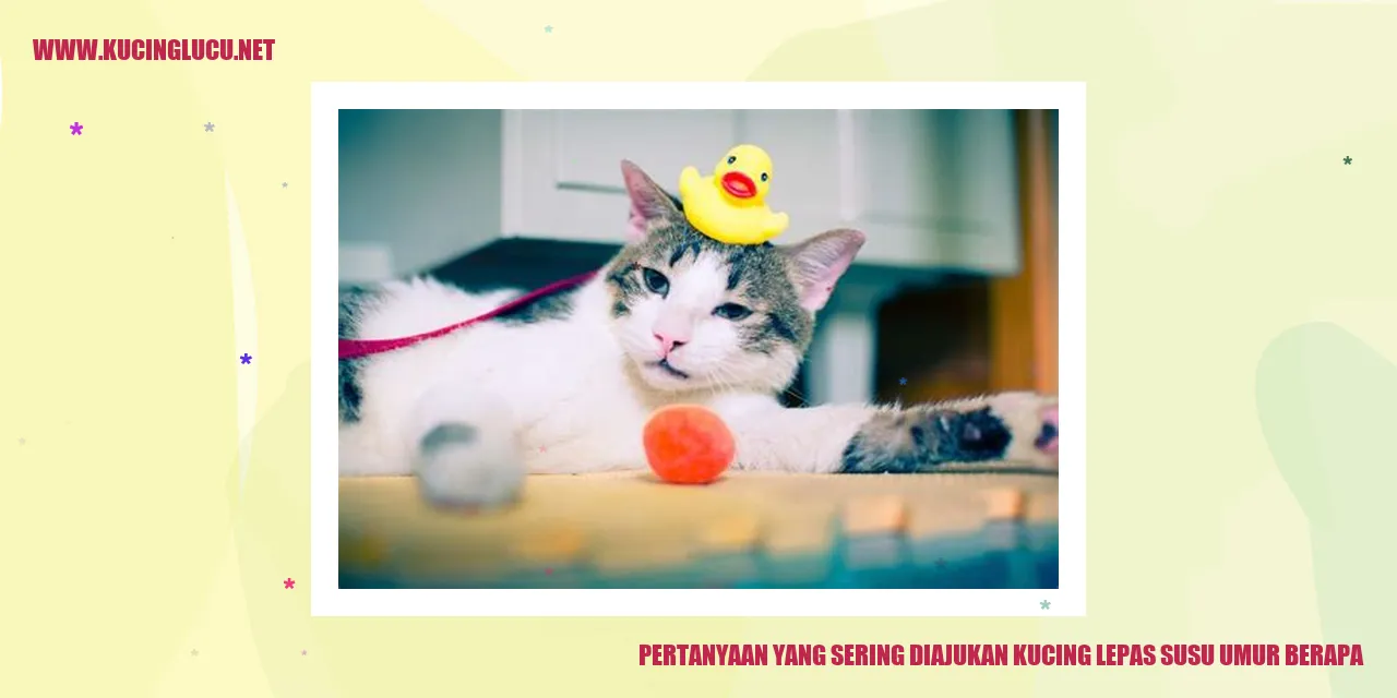 Gambar Kucing yang Lepas Susu