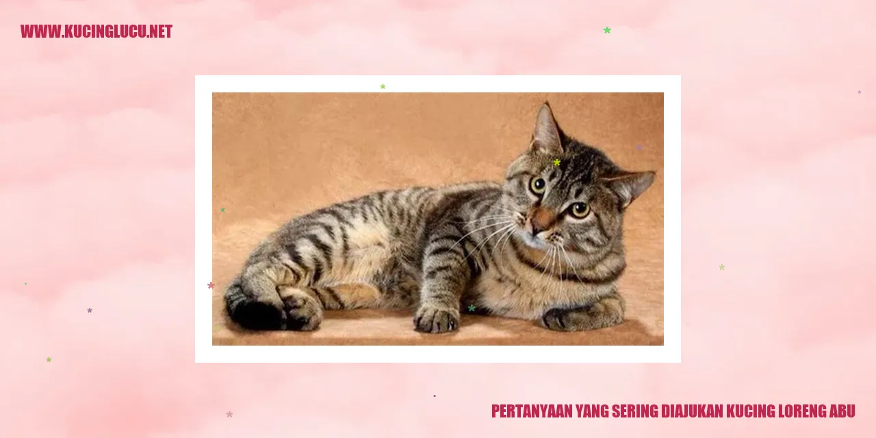 Kucing Loreng Abu