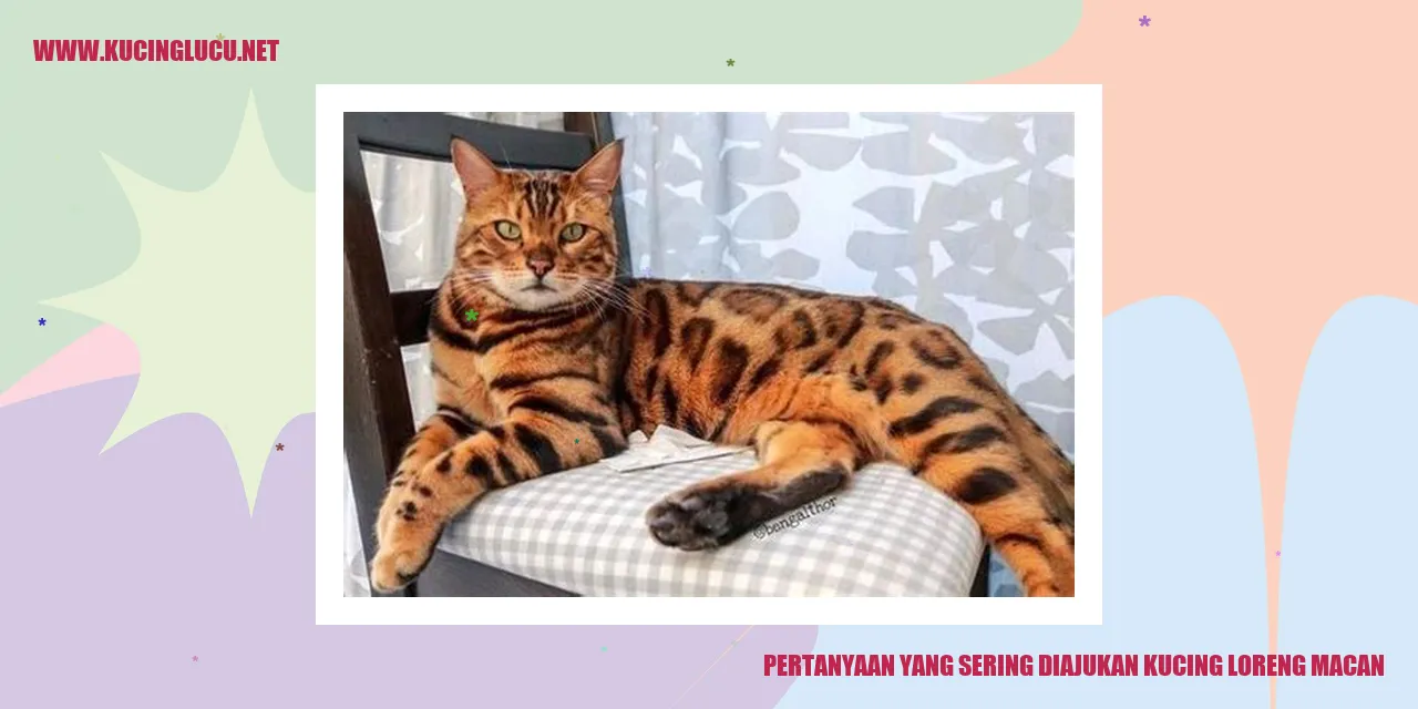 Kucing Loreng Macan
