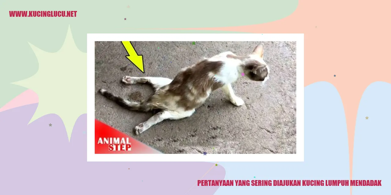 kucing lumpuh mendadak