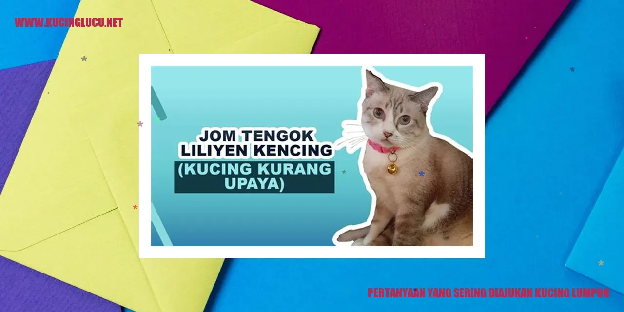 Kucing lumpuh