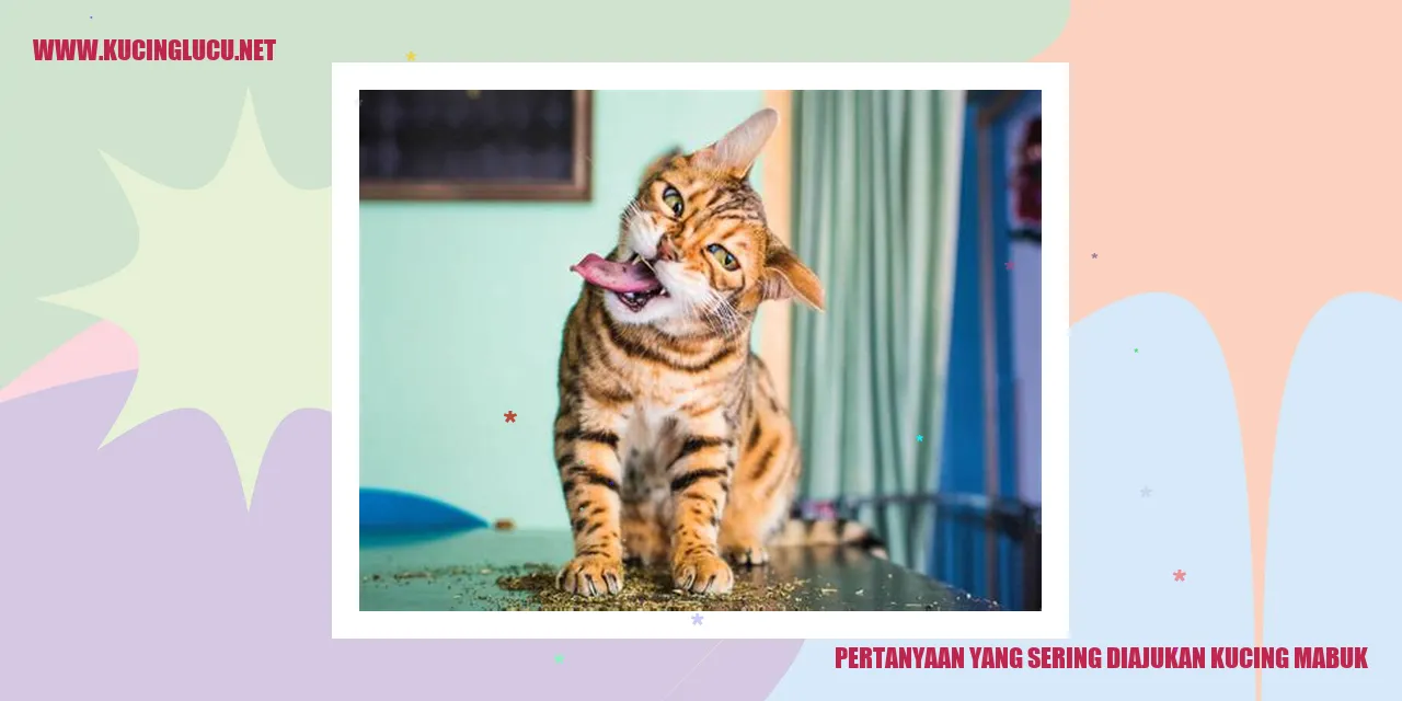 Kucing Mabuk