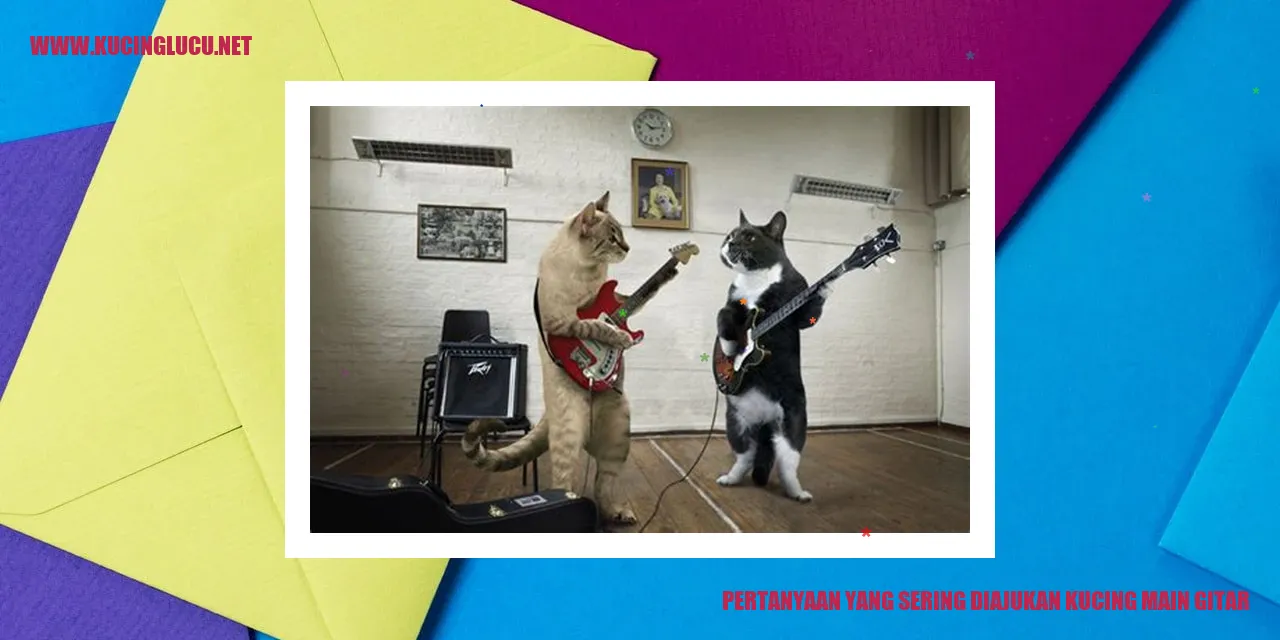 Kucing Main Gitar