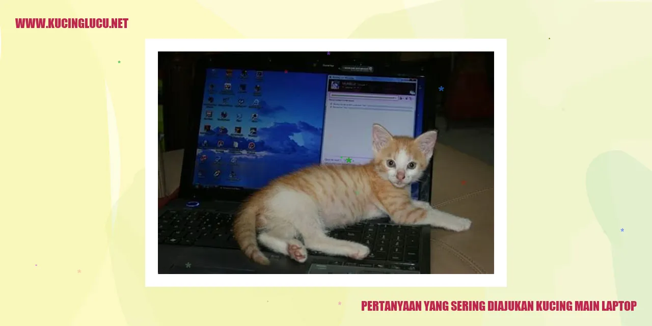 gambar kucing main laptop
