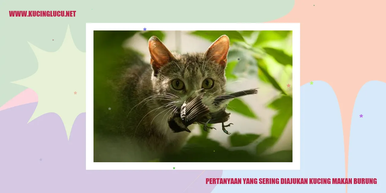 Kucing Makan Burung