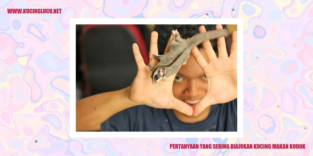 Kucing Makan Kodok