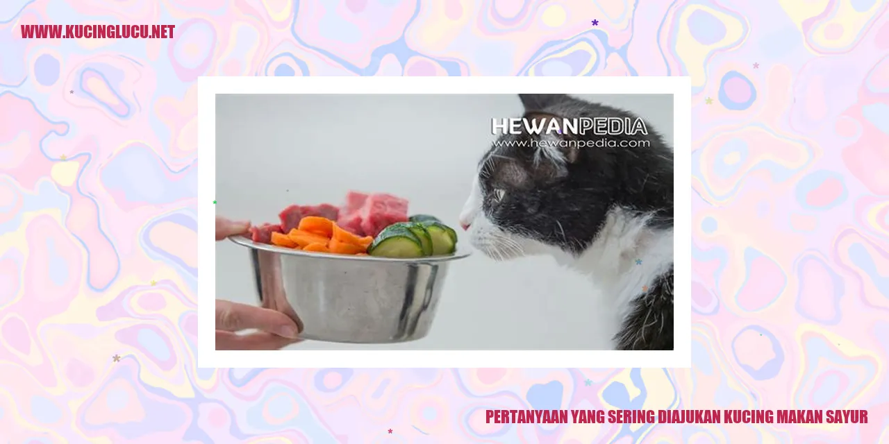 Gambar Kucing Makan Sayur