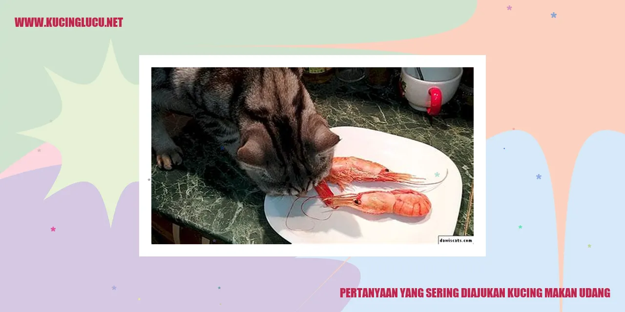 gambar kucing makan udang