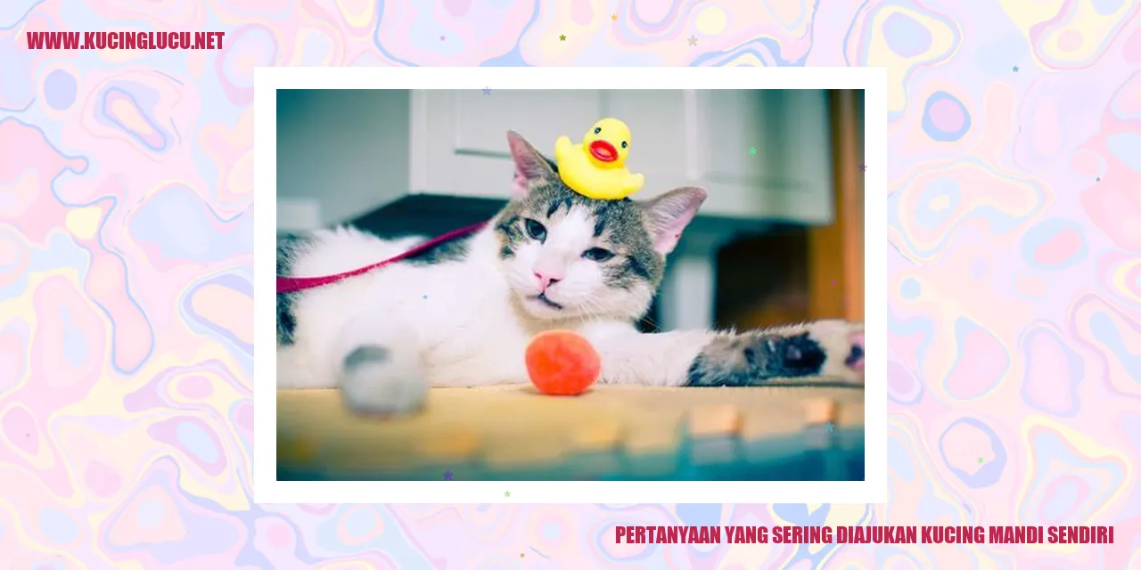 Kucing Mandi Sendiri