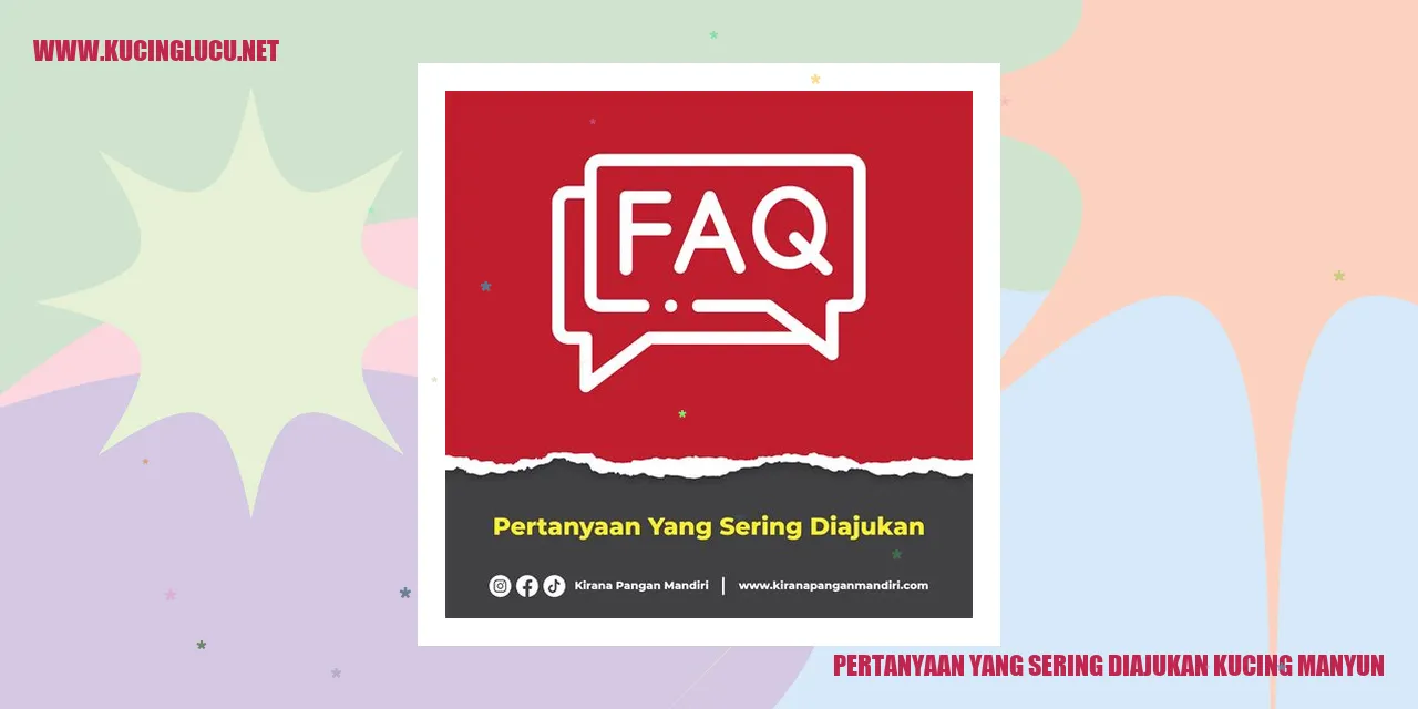 kucing manyun