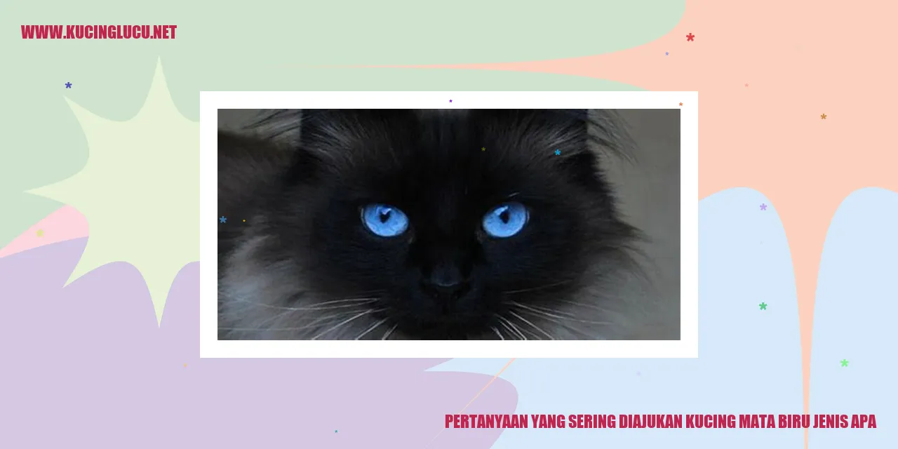 Pertanyaan yang Sering Diajukan kucing mata biru jenis apa